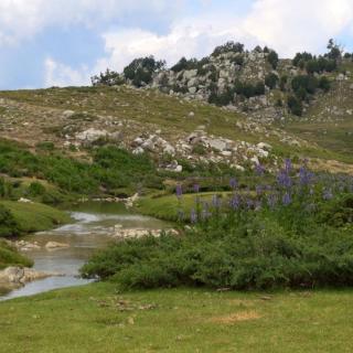 Balade Journée Alta Rocca J2 : Le plateau du Cuscione Les balades de Paul 
