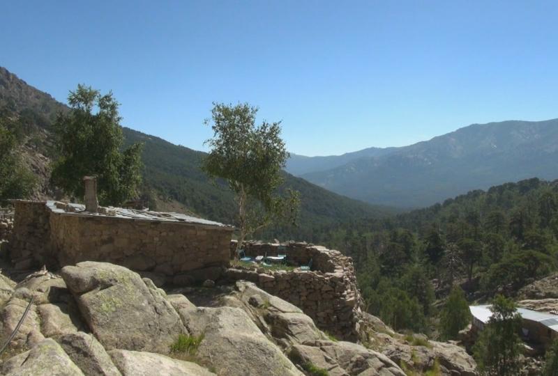 Balade Journée Niolu J2 : Balade en forêt de Valdu Niellu Les balades de Paul 