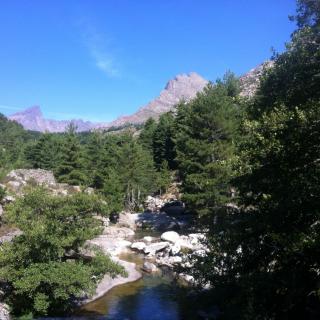 Balade Journée Niolu J2 : Balade en forêt de Valdu Niellu Les balades de Paul 