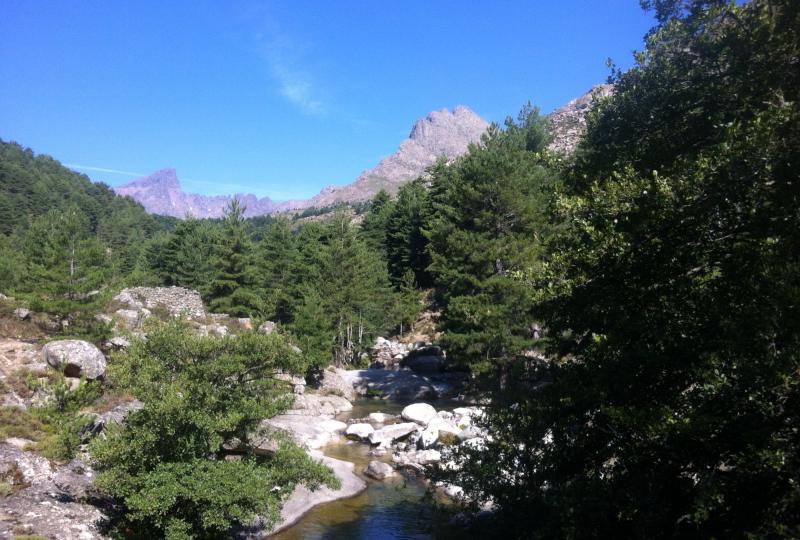 Balade Journée Niolu J2 : Balade en forêt de Valdu Niellu Les balades de Paul 