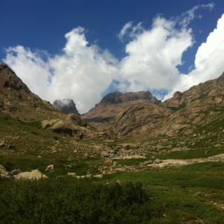 Balade Journée Niolu J2 : Balade en forêt de Valdu Niellu Les balades de Paul 