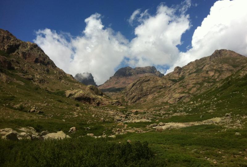 Balade Journée Niolu J2 : Balade en forêt de Valdu Niellu Les balades de Paul 