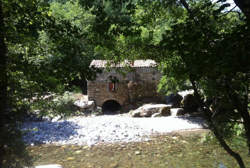 Balade Journée Niolu J2 : Balade en forêt de Valdu Niellu Les balades de Paul 