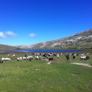 Balade Journée Niolu J3 : Lac du Nino Les balades de Paul 