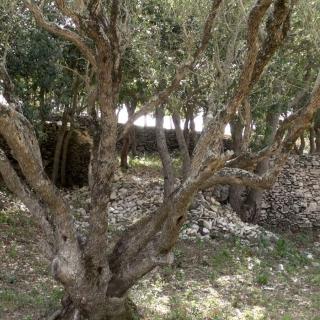 Balade Journée Extreme Sud J2 : A Strada Vecchia Bonifacio Les balades de Paul 