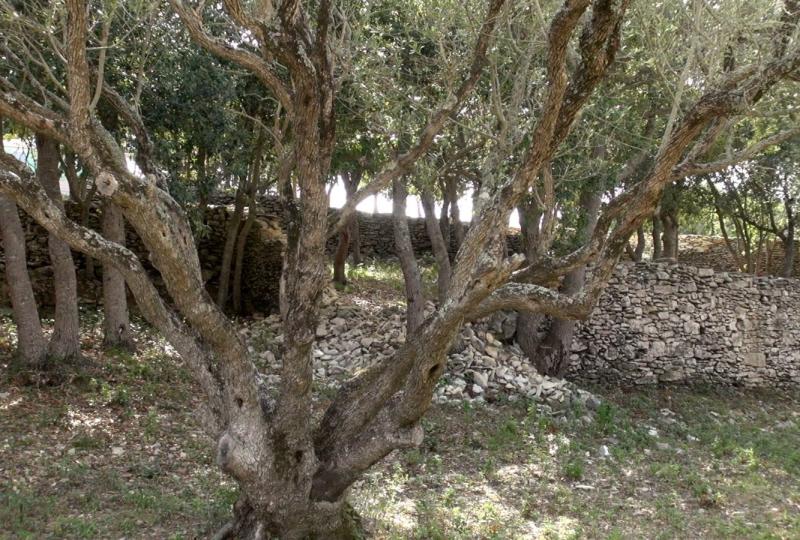 Balade Journée Extreme Sud J2 : A Strada Vecchia Bonifacio Les balades de Paul 