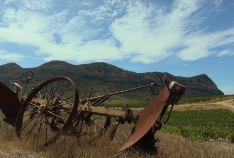 Balade Journée Nebbiu J1 : Ballades à travers les vignes Les balades de Paul 