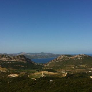 Balade Journée Nebbiu J1 : Ballades à travers les vignes Les balades de Paul 