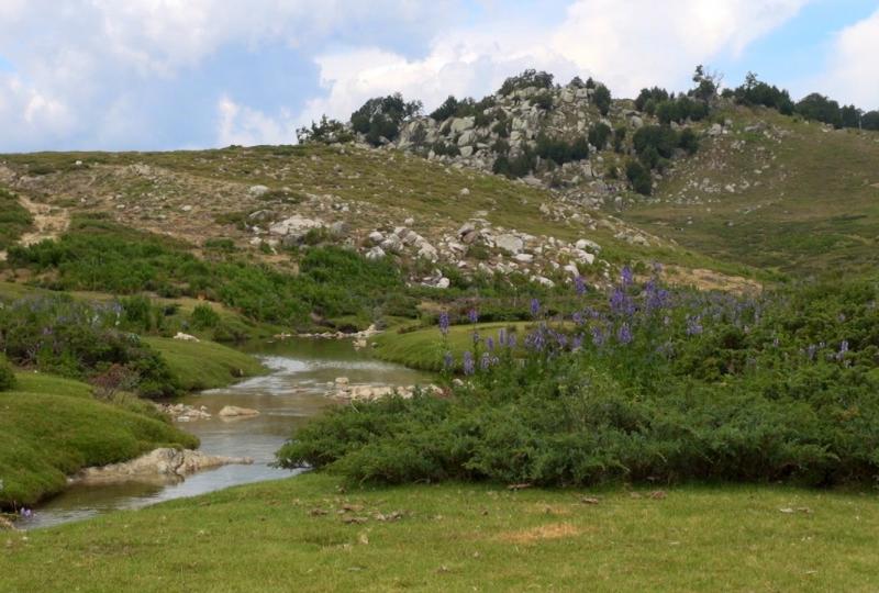 Balade Journée Alta Rocca J2 : Le plateau du Cuscione Les balades de Paul 