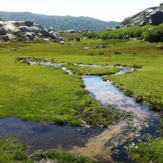 Balade Journée Alta Rocca J2 : Le plateau du Cuscione Les balades de Paul 