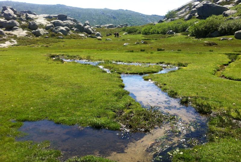 Balade Journée Alta Rocca J2 : Le plateau du Cuscione Les balades de Paul 