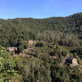 Balade Journée Castagniccia J3 : Balade autour du San Petrone Les balades de Paul 