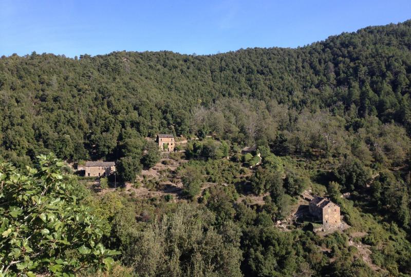 Balade Journée Castagniccia J3 : Balade autour du San Petrone Les balades de Paul 